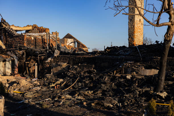 24/7 Emergency Content Restoration experts in Princeton, KY